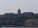 2007