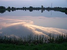 Tópart